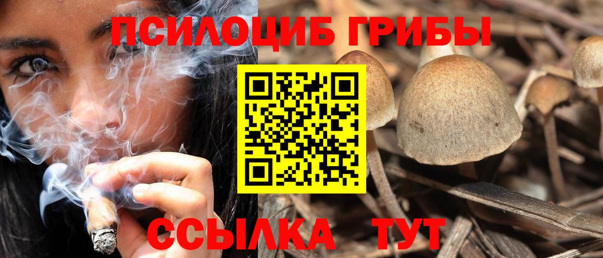 Псилоцибиновые грибы Psilocybine cubensis  Вход с VPN  где продают   Стрежевой 